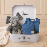 Best Friend Boutique Baby Boy Hamper