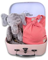 Boutique Newborn Girl Gift