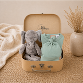 Small suitcase with a grey elephant toy and green baby outfit with a matching green beanie in a neutral cardboard suitcase.