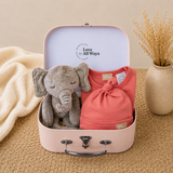 Boutique Newborn Girl Gift