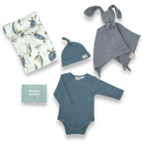 Romper & Bunny Premium Baby Boy Hamper