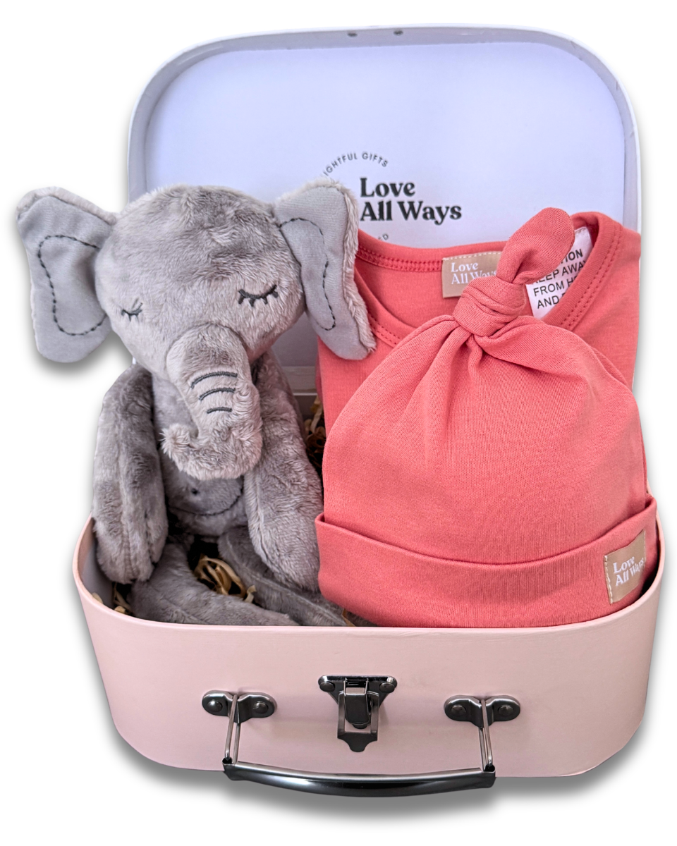 Boutique Newborn Girl Gift