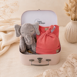 Grey elephant plush toy and pink baby outfit with a pink matching beanie in a baby pink suitcase.