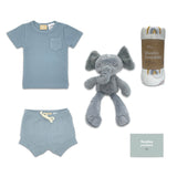 Summer Elephant Classic Baby Boy Hamper