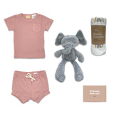 Summer Elephant Classic Baby Girl Hamper